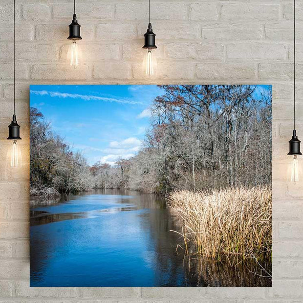 Ogeechee River Georgia Wall Art Print - Photography