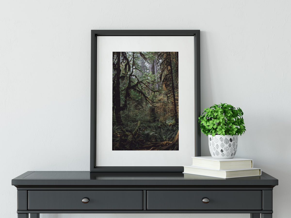 The Mysterious Forest Olympic National Park Art Print -