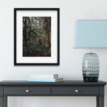 The Mysterious Forest Olympic National Park Art Print -