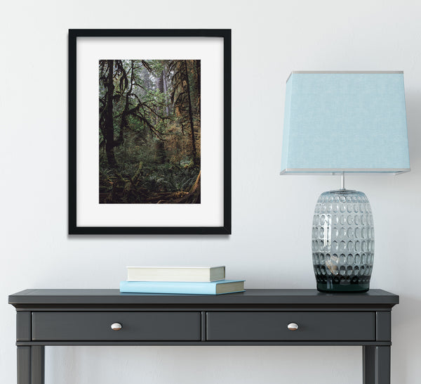 The Mysterious Forest Olympic National Park Art Print -