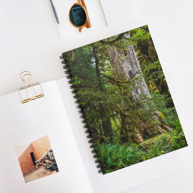 Olympic National Forest Notebook - Spiral