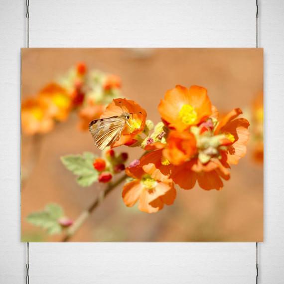 Orange Butterfly Print, Coral Pink Sand Dunes, Utah Lost Kat Photography