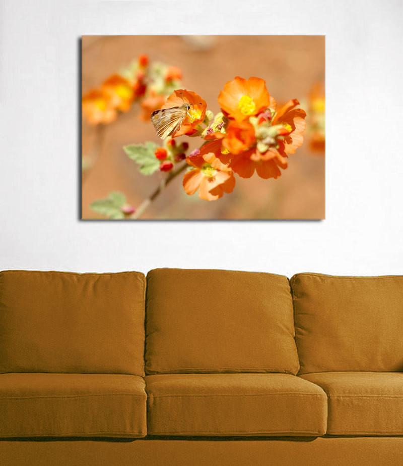 Orange Butterfly Print, Coral Pink Sand Dunes, Utah Lost Kat Photography