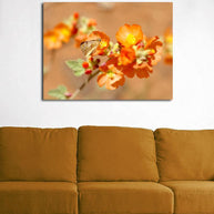 Orange Butterfly Print, Coral Pink Sand Dunes, Utah Lost Kat Photography