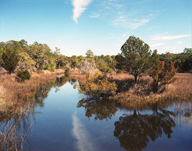 Peaceful Swamp, Georgia Lost Kat Photography