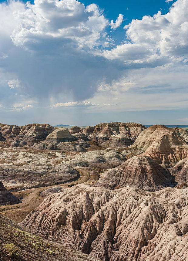 Petrified Forest View II Southwest Photo Print Arizona
