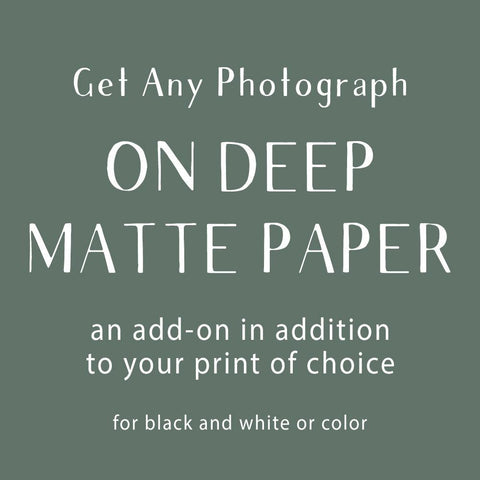 Photograph Add-On, Deep Matte Paper Lost Kat Photography