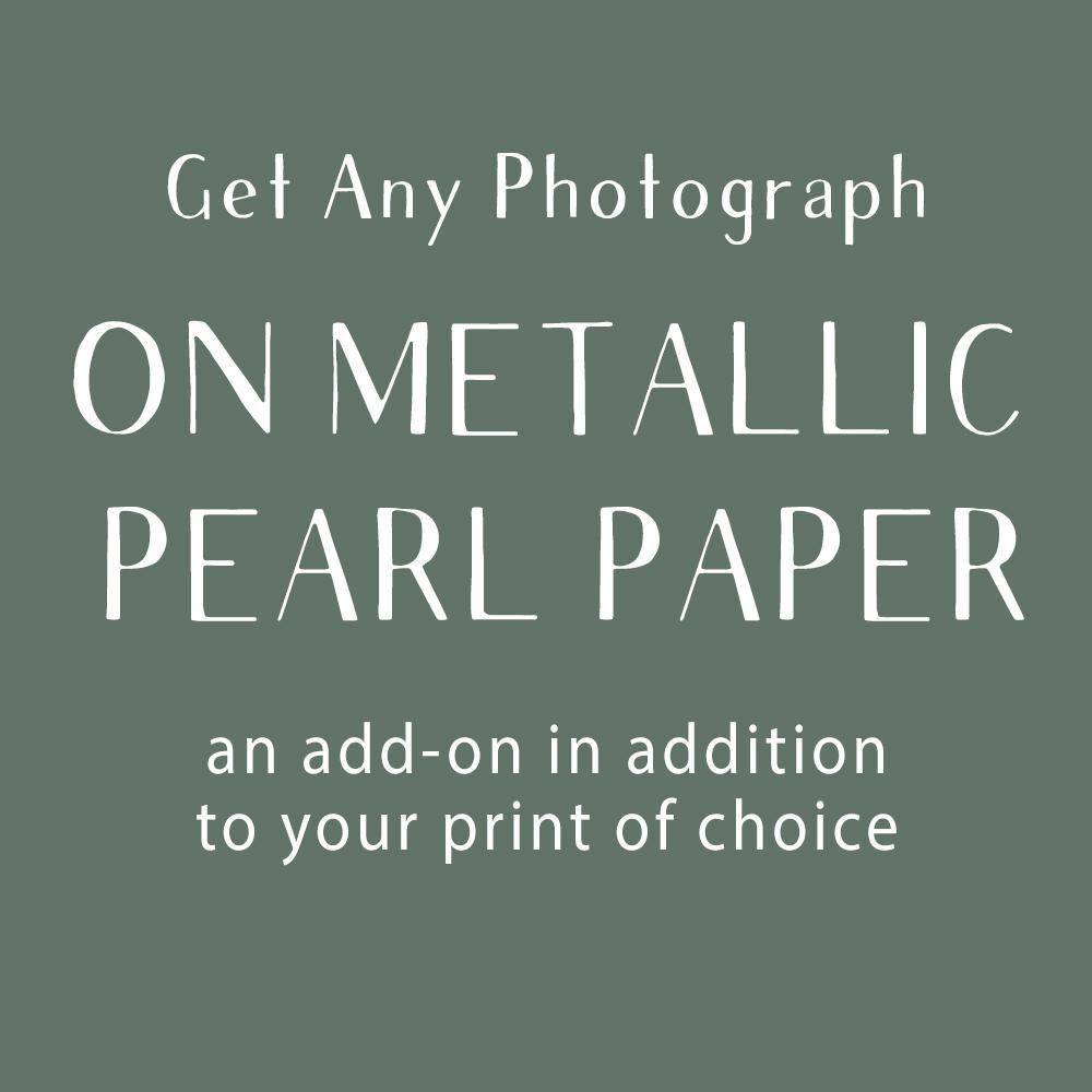 Photograph Add-On, Metallic/Pearl Paper Lost Kat Photography