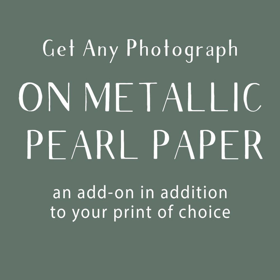 Photograph Add-On, Metallic/Pearl Paper Lost Kat Photography