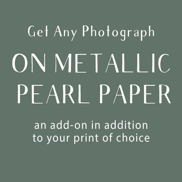 Photograph Add-On, Metallic/Pearl Paper Lost Kat Photography