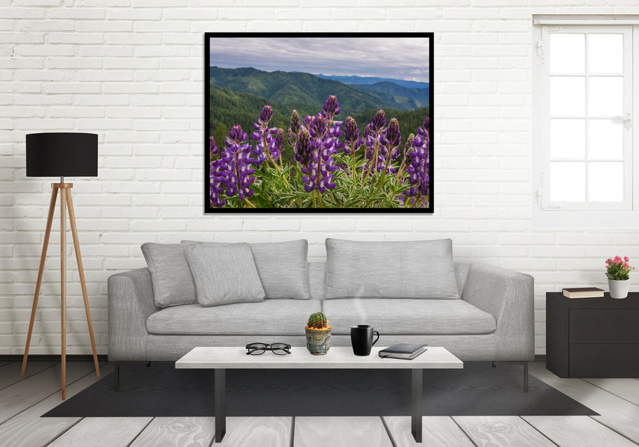 Purple Lupine Wildflowers on a Mountain Pass Idaho Nature