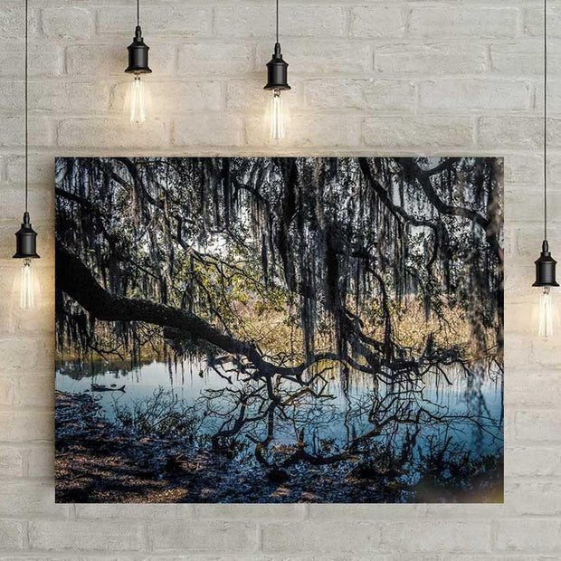 The Hanging Garden Nature Photography Art Print