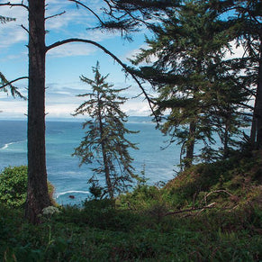 Redwood Coast Northern California View Wall Art Print -