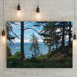 Redwood Coast Northern California View Wall Art Print -