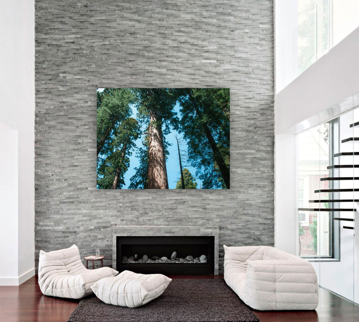 Redwood Trees, Northern California Fine Art Print Lost Kat Photography