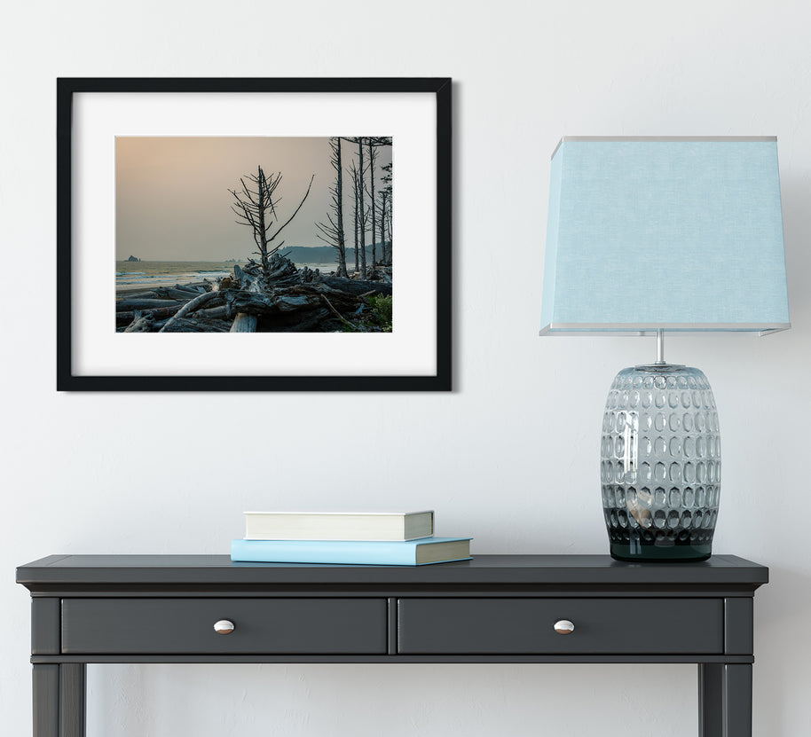 Rialto Beach Tree at Sunset Olympic Peninsula Art Print -