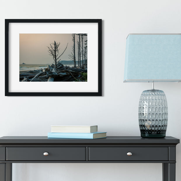 Rialto Beach Tree at Sunset Olympic Peninsula Art Print -