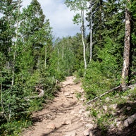 Potato Lake (Spud Lake) Trail Colorado Photo Print -