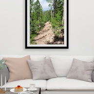 Potato Lake (Spud Lake) Trail Colorado Photo Print -