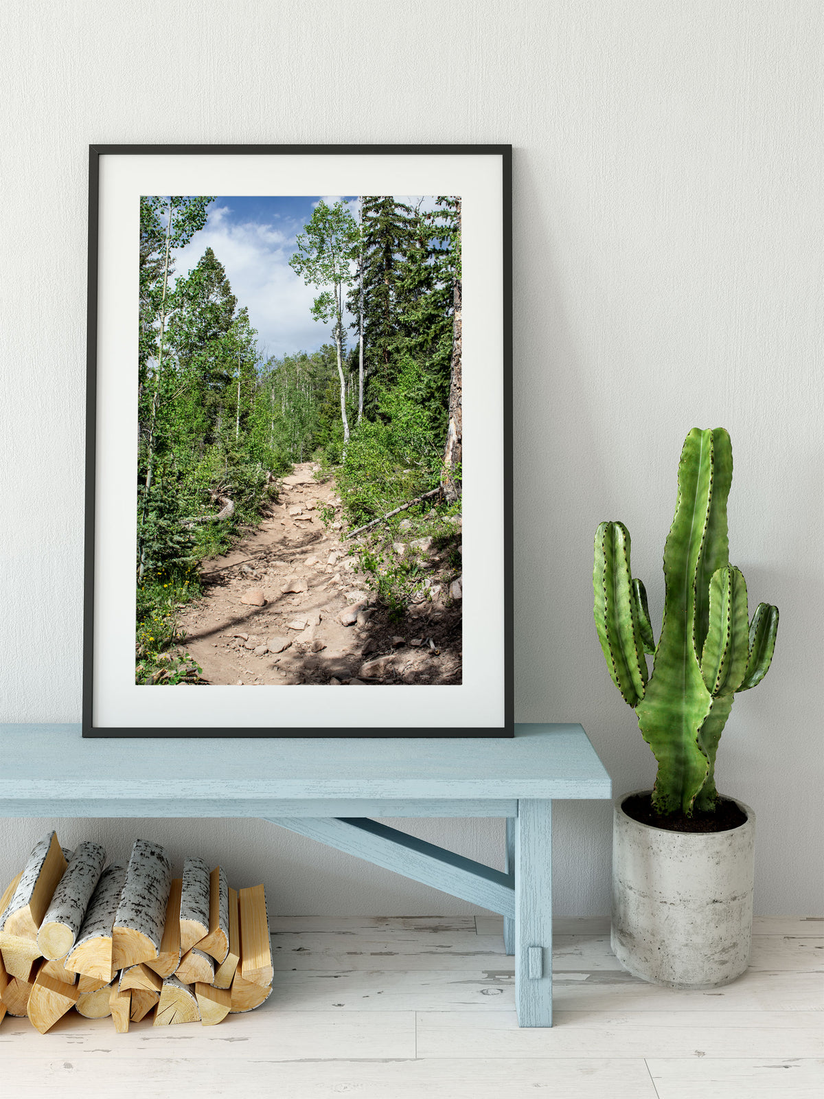 Potato Lake (Spud Lake) Trail Colorado Photo Print -