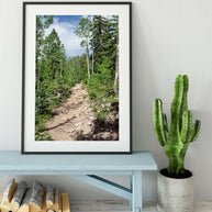 Potato Lake (Spud Lake) Trail Colorado Photo Print -