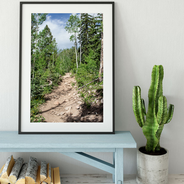 Potato Lake (Spud Lake) Trail Colorado Photo Print -