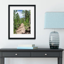 Potato Lake (Spud Lake) Trail Colorado Photo Print -