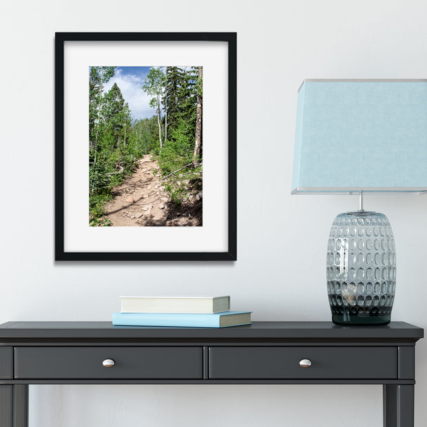 Potato Lake (Spud Lake) Trail Colorado Photo Print -