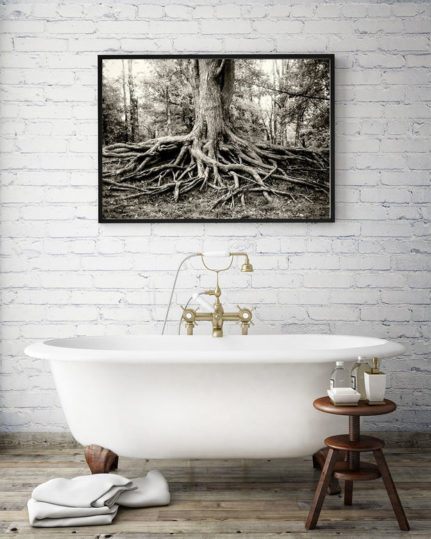 Roots of Life Black and White Modern Wall Art Print -