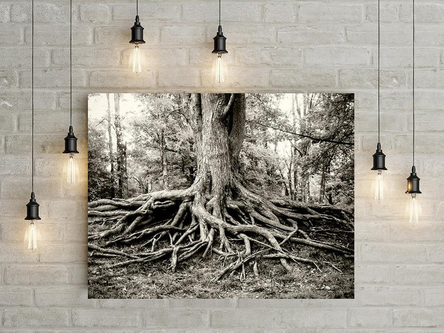 Roots of Life Black and White Modern Wall Art Print -