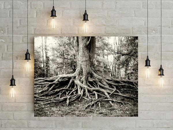 Roots of Life Black and White Modern Wall Art Print -