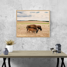 Bison Photo Print Family on the Plains Wildlife Photography