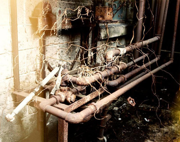 Rusty metalwork industrial photography print showing corroded fittings and tangled roots on a rusty pipe system