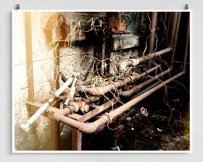 Rusty metalwork photography print featuring rust-stained industrial pipes with tangled vines and weathered fixtures