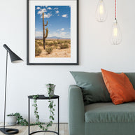 Saguaro Cactus Photo Print Arizona Photography