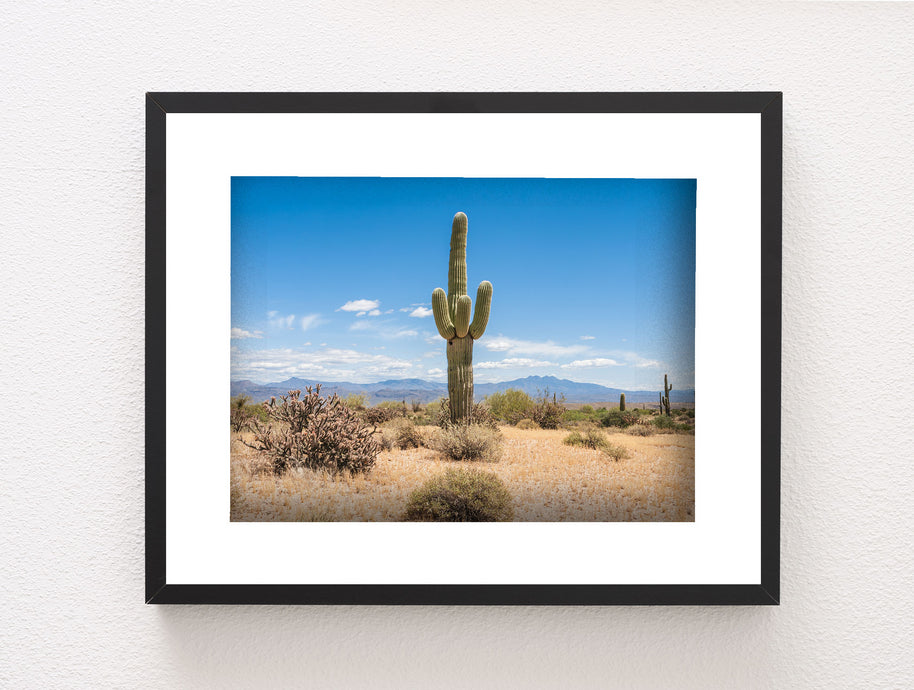 Lone Saguaro Southwest Wall Art Cactus Photo Print Arizona -