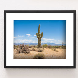 Lone Saguaro Southwest Wall Art Cactus Photo Print Arizona -