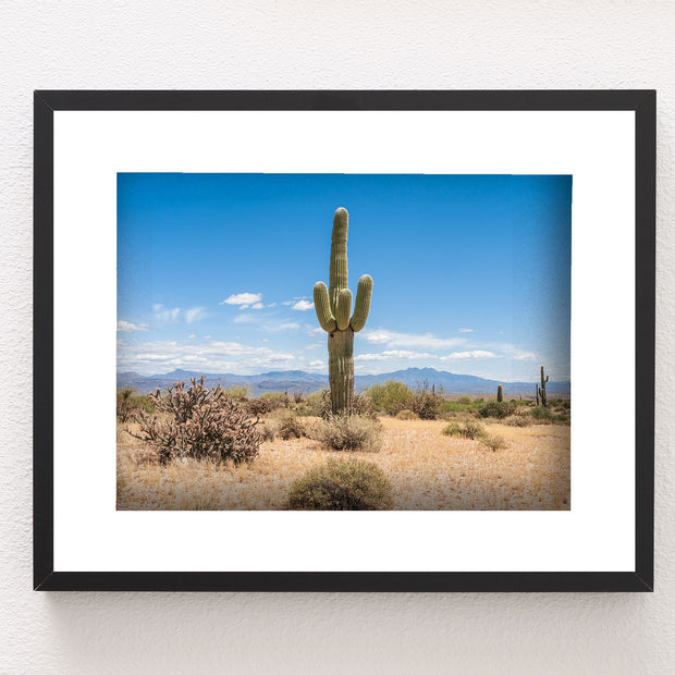 Lone Saguaro Southwest Wall Art Cactus Photo Print Arizona -