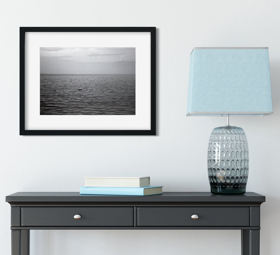 Salton Sea Birds Minimalist Black and White Print -