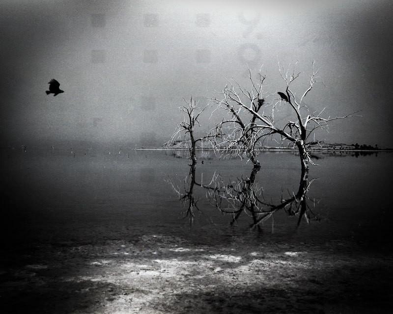 The Meeting Place Salton Sea Surreal Black and White Photo