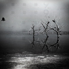 The Meeting Place Salton Sea Surreal Black and White Photo
