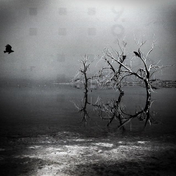 The Meeting Place Salton Sea Surreal Black and White Photo