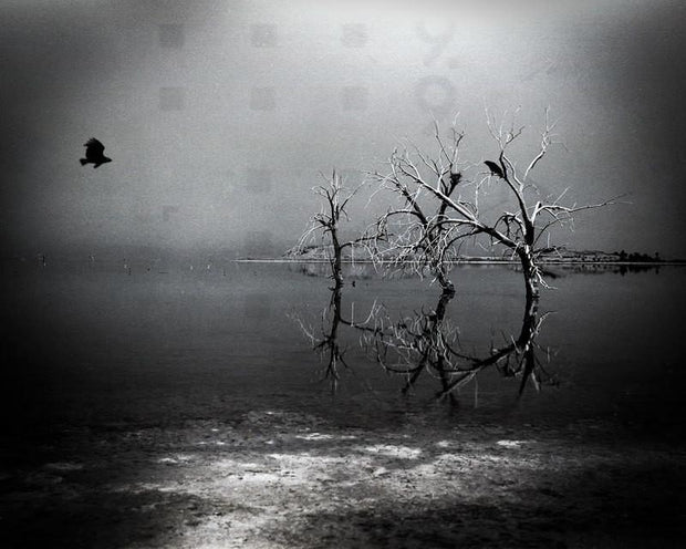 The Meeting Place Salton Sea Surreal Black and White Photo