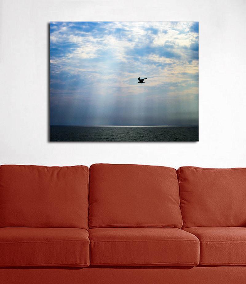 Seagull After the Storm - Photography