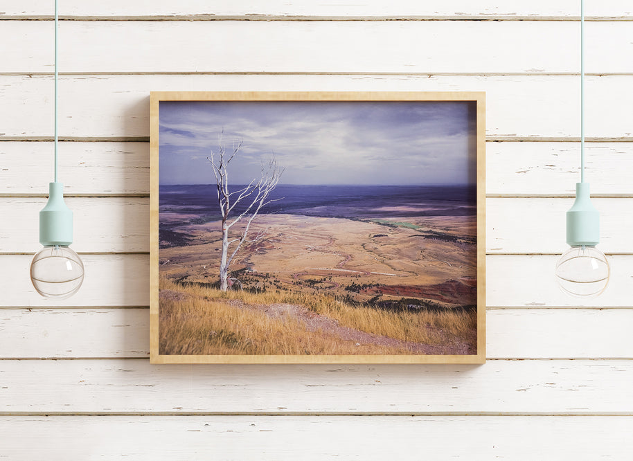 Sheridan Valley Bighorn Mountains Wyoming Art Print -