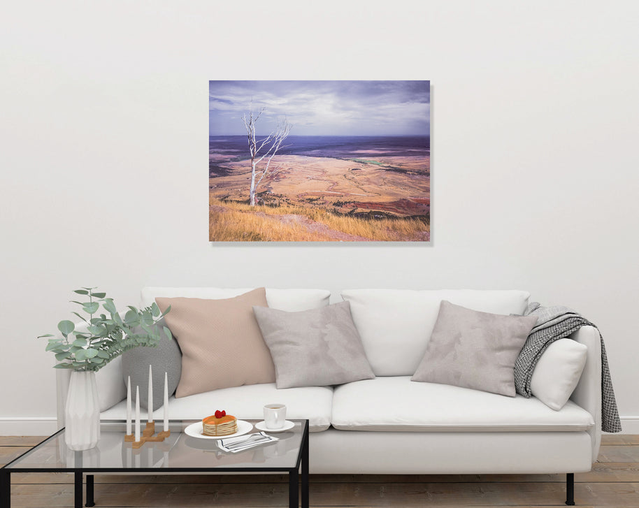 Sheridan Valley Bighorn Mountains Wyoming Art Print -