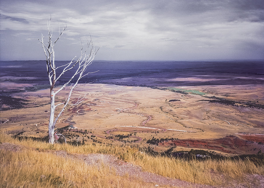 Sheridan Valley Bighorn Mountains Wyoming Art Print -