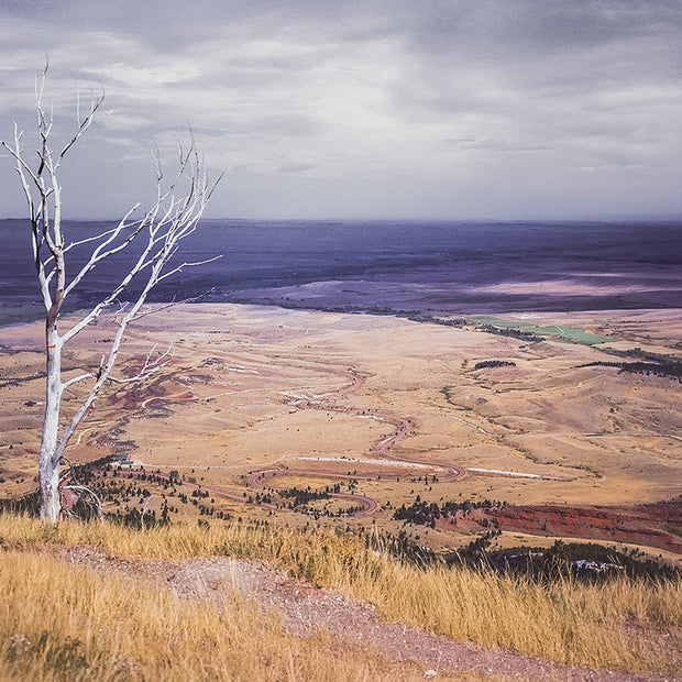 Sheridan Valley Bighorn Mountains Wyoming Art Print -
