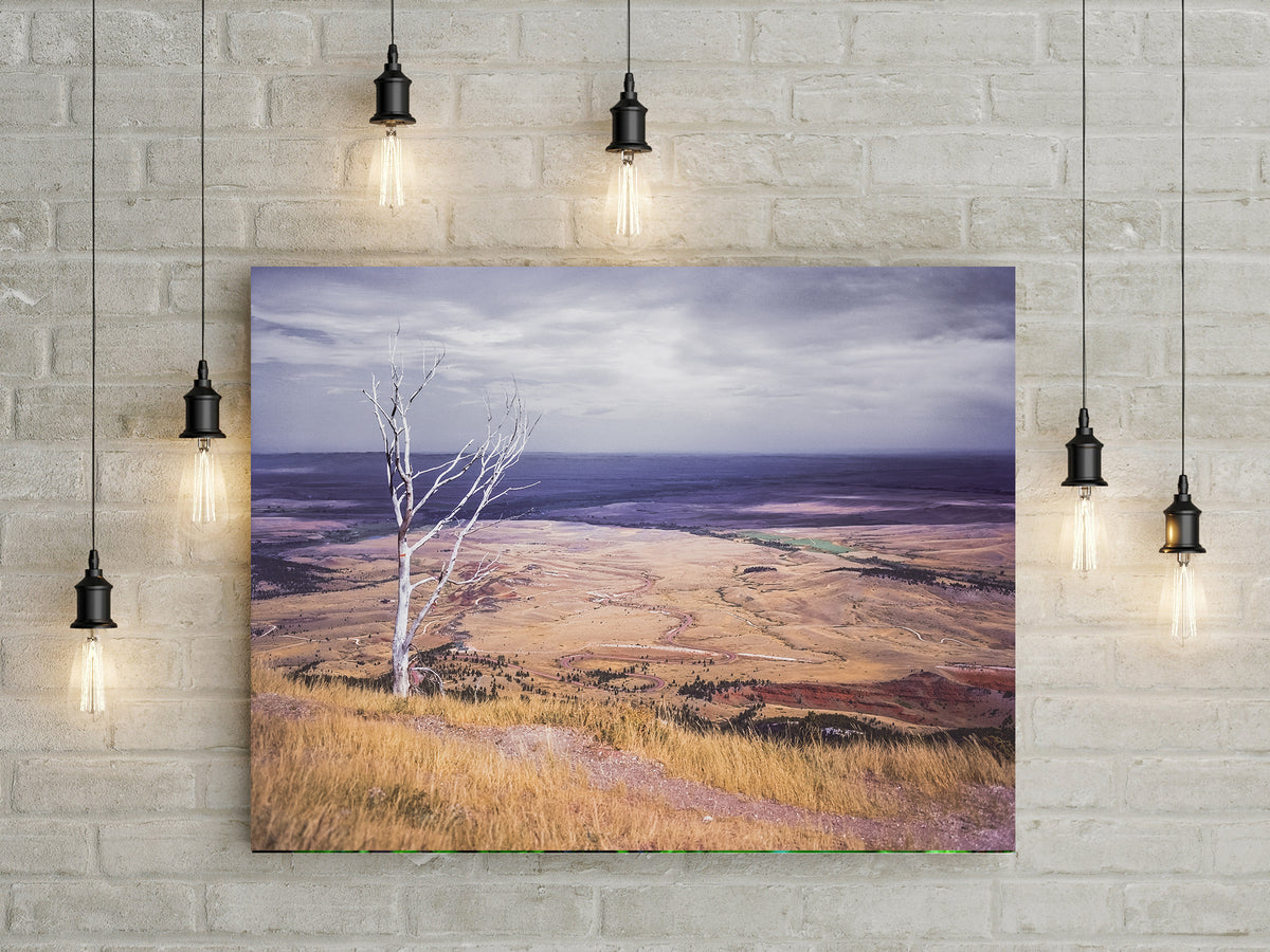 Sheridan Valley Bighorn Mountains Wyoming Art Print -