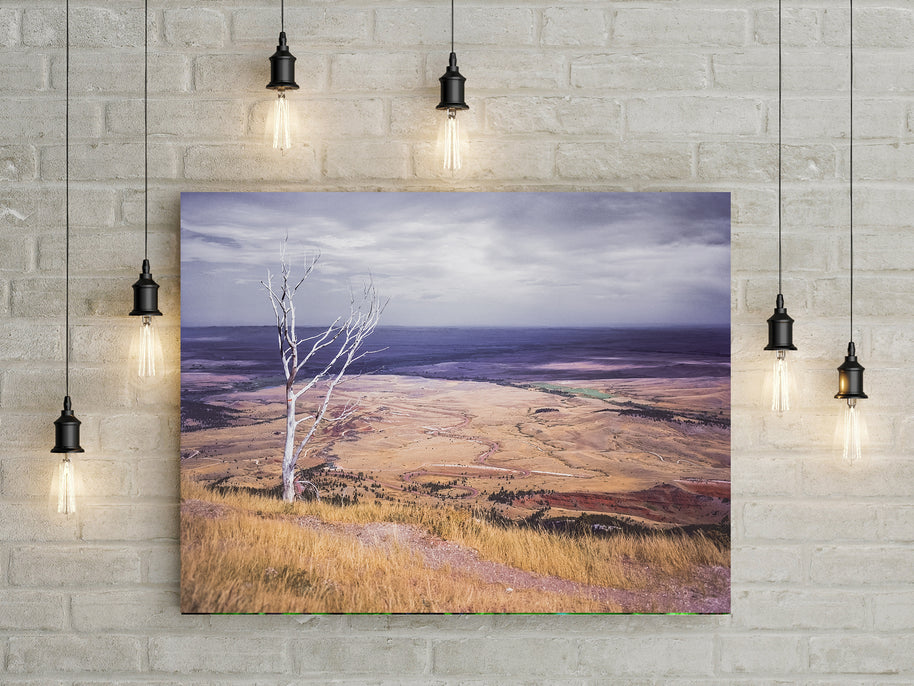 Sheridan Valley Bighorn Mountains Wyoming Art Print -
